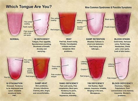 What is the meaning of having a long tongue?