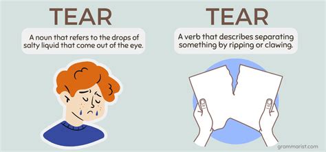 What is the meaning of wet and tear?