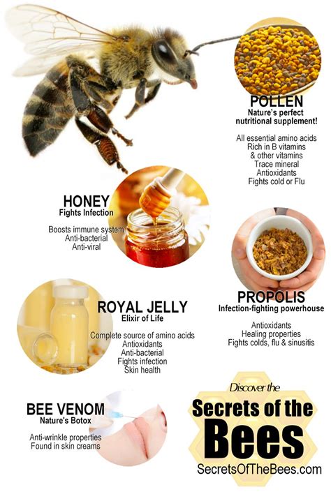 What is the medicinal use of bee venom?