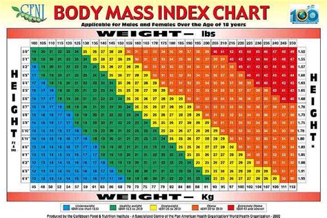 What is the minimum BMI for Weight Watchers?