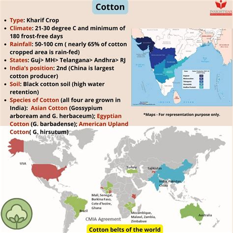 What is the mission of Cotton On?