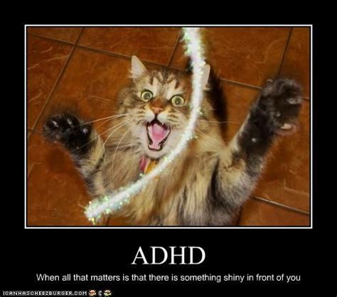 What is the most ADHD animal?
