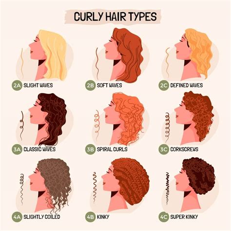 What is the most attractive hair type?