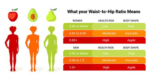 What is the most attractive hip size?