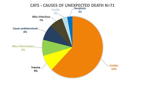 What is the most common cause of death in cats?