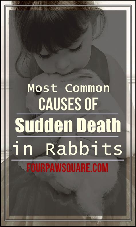 What is the most common cause of death in rabbits?