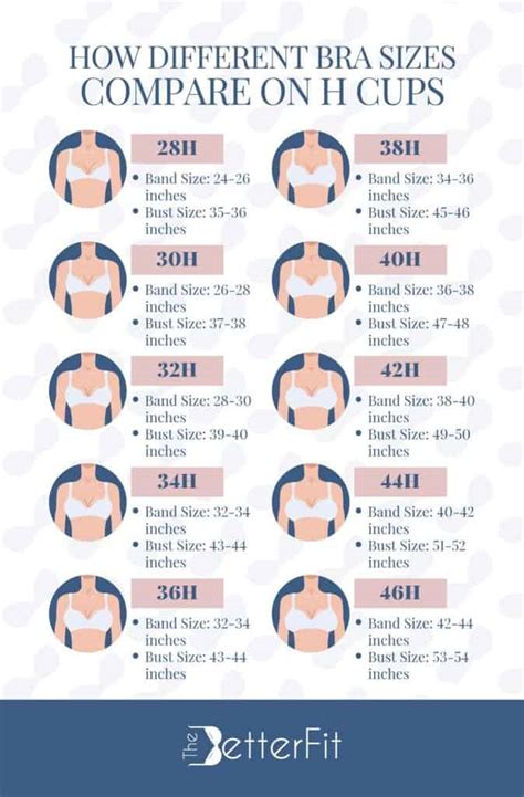 What is the most common female breast size?