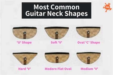 What is the most common neck shape?