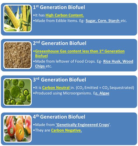 What is the most common plant used for biofuel?