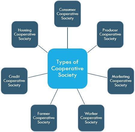 What is the most common type of cooperative?