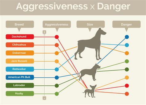 What is the most common type of dog aggression?