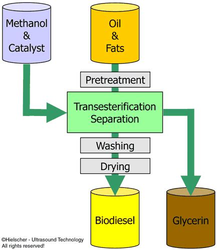 What is the most commonly used biodiesel oil?