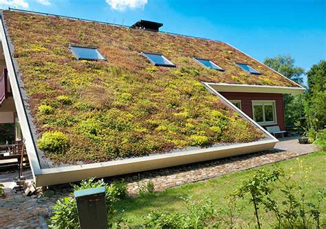 What is the most eco roof?
