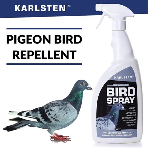 What is the most effective bird repellent?