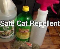 What is the most effective homemade cat repellent?