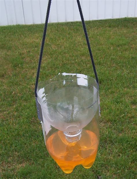 What is the most effective homemade wasp trap?