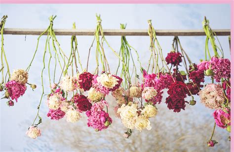 What is the most effective way to dry flowers?
