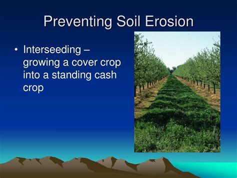 What is the most effective way to prevent erosion?