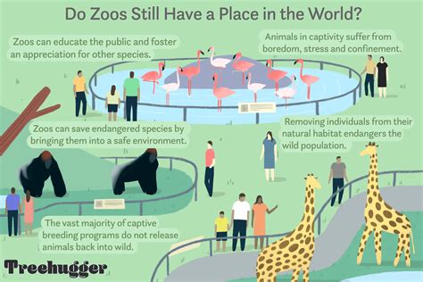 What is the most ethical zoo in the world?