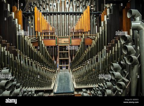 What is the most famous organ in the world?