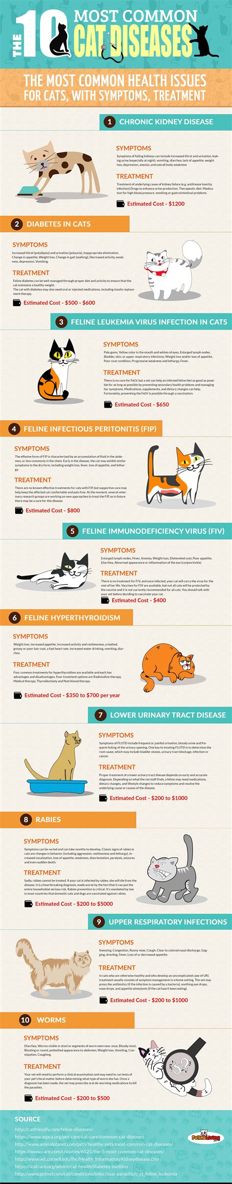 What is the most fatal disease in cats?