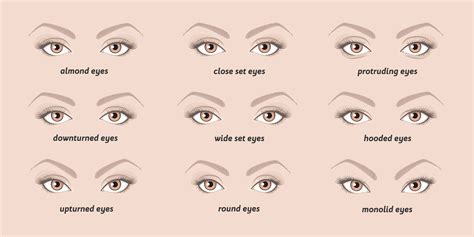 What is the most feminine eye shape?