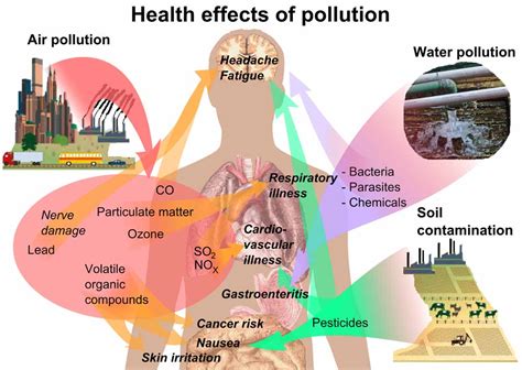 What is the most harmful environmental?
