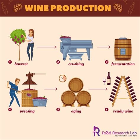 What is the most important part of the wine making process?