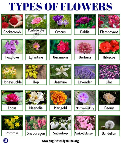 What is the most least popular flower?