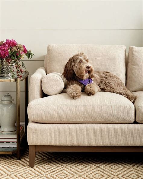 What is the most pet friendly couch material?