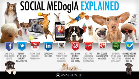 What is the most social dog?