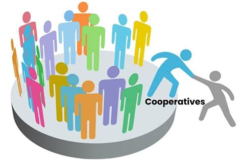 What is the most successful cooperative?