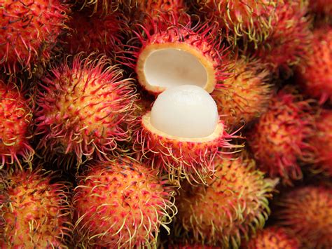 What is the most uncommon fruit in the world?
