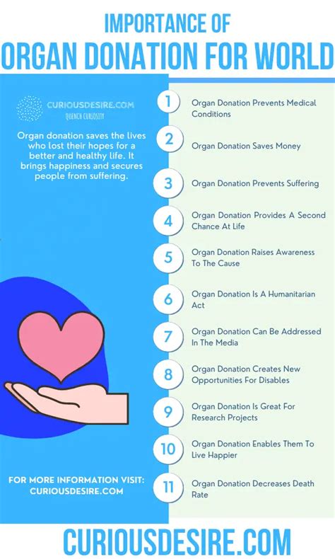 What is the most valuable organ to donate?