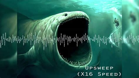 What is the mysterious ocean noise?