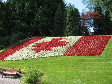 What is the name of the flower on Canada flag?