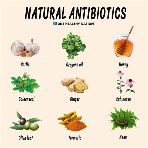 What is the name of the natural antibiotic?