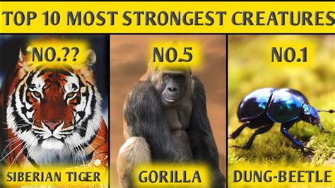 What is the name of the toughest animal to ever live?