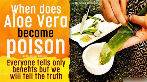 What is the negative side of aloe vera?