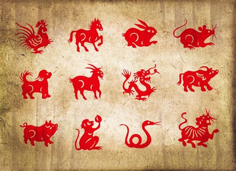 What is the new Chinese New Year animal?