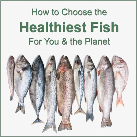 What is the number 1 healthiest fish?