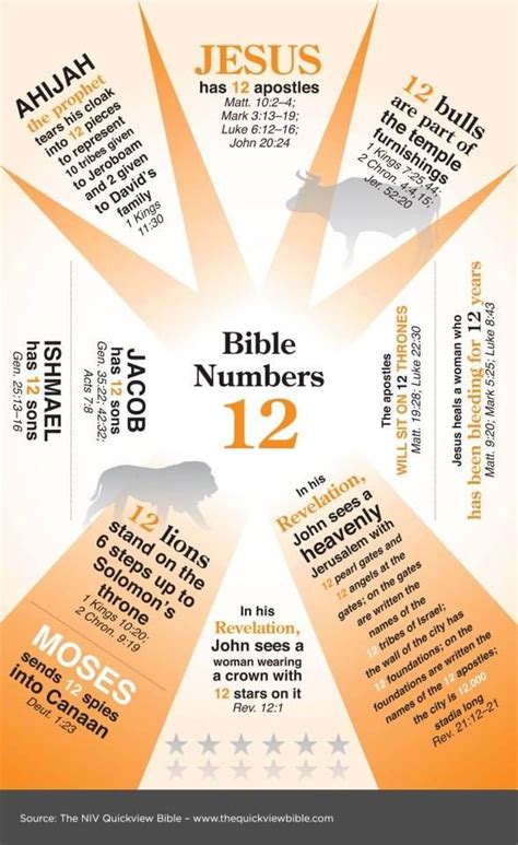 What is the number 12 in the Bible?