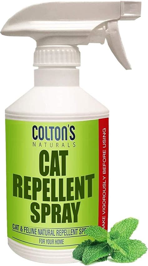 What is the number one cat repellent?