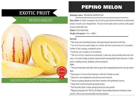 What is the nutritional value of pepino fruit?