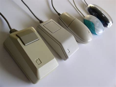What is the old mouse in the world?
