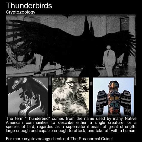 What is the old name of Thunderbird?