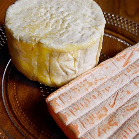 What is the oldest cheese still in production?