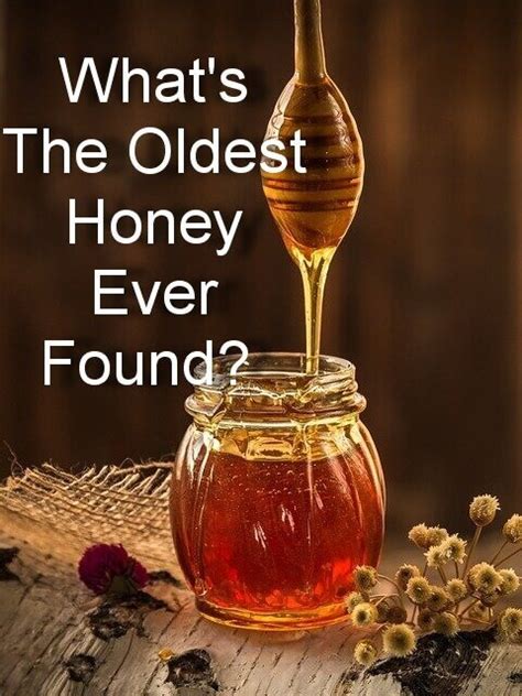 What is the oldest honey found?