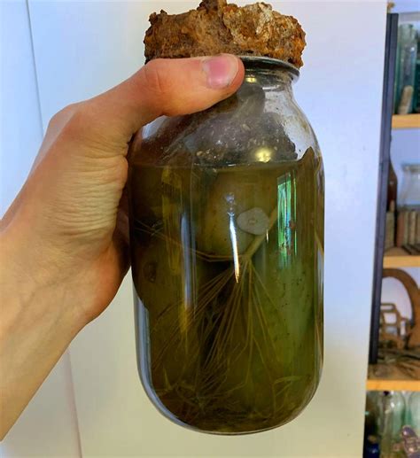What is the oldest pickle found?