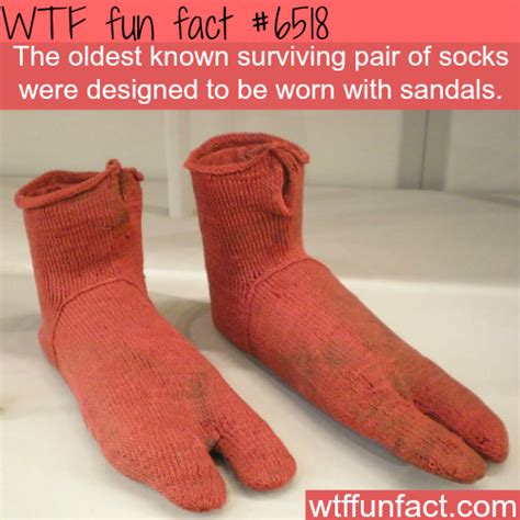 What is the oldest sock in the world?